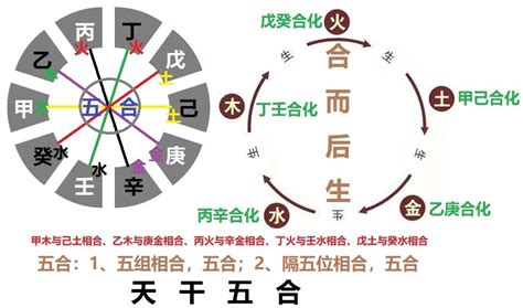 五行合化表|天干